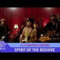 SPIRIT OF THE BEEHIVE、米のTV番組 The Late Show に出演した「1/500」のパフォーマンス映像が公開！